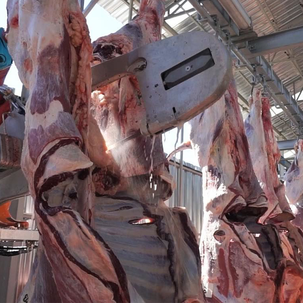 Karkas Testere Karkas Testere